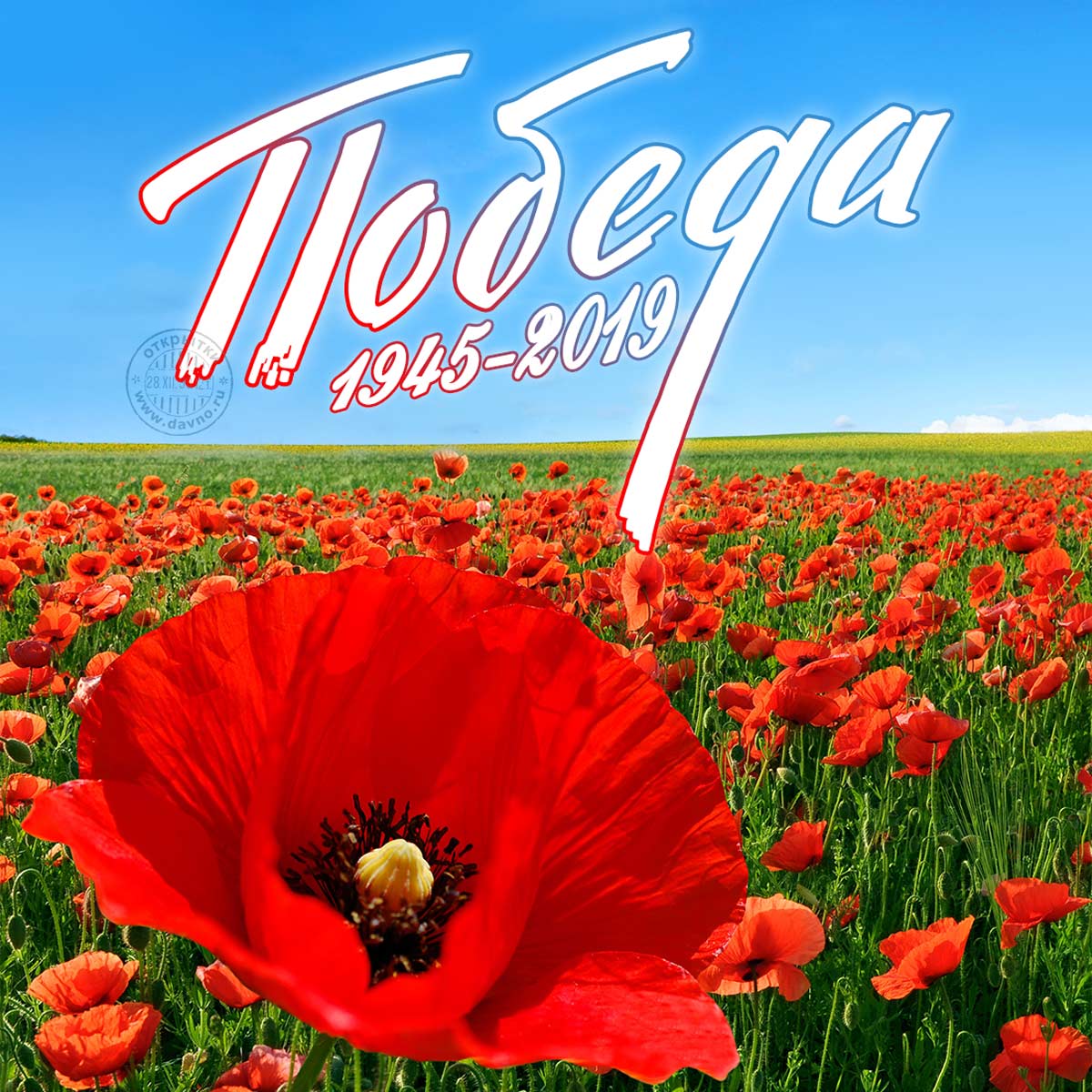 Открытки со стихами и красными маками. Открытка пожелать вам хочется счастья, широты, изобилия, добра.