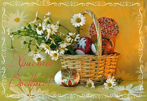 Картинки Спасибо с ромашками. Картинки поле с ромашками. Картинки с 8 мартом ...