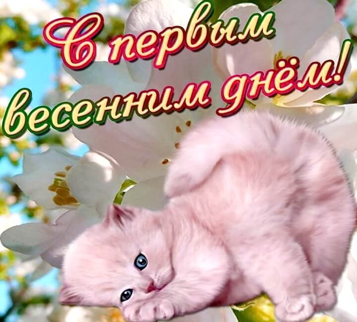 Прикольные поздравления С первым днем весны в картинках. Поздравить С первым днем весны в картинках.