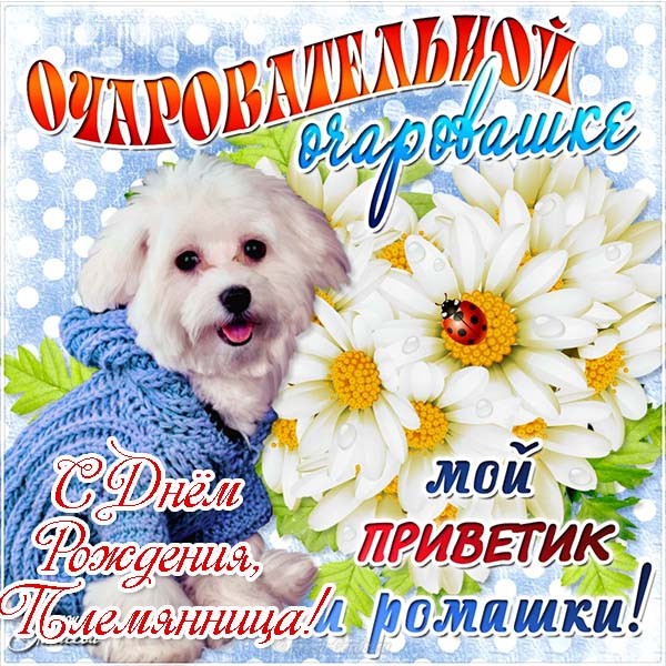  Открытка Любимой племяшке! Открытка с днём рождения, племянница!