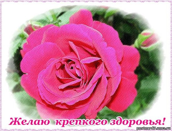 Открытки пожелания здоровья. Открытки с добрыми пожеланиями здоровья.