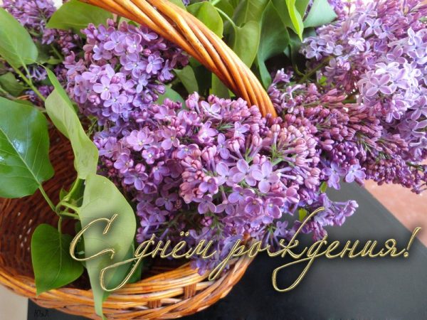 Открытки картинки с сиренью. Открытки Доброе утро с сиренью.