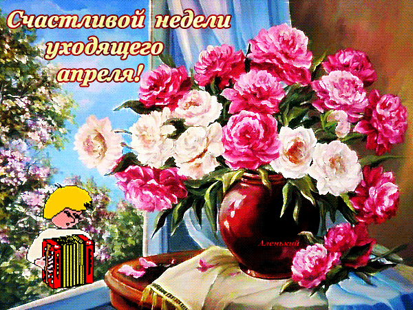 Картинки с пионами на рабочий стол. Картинка Доброе утро с пионами.