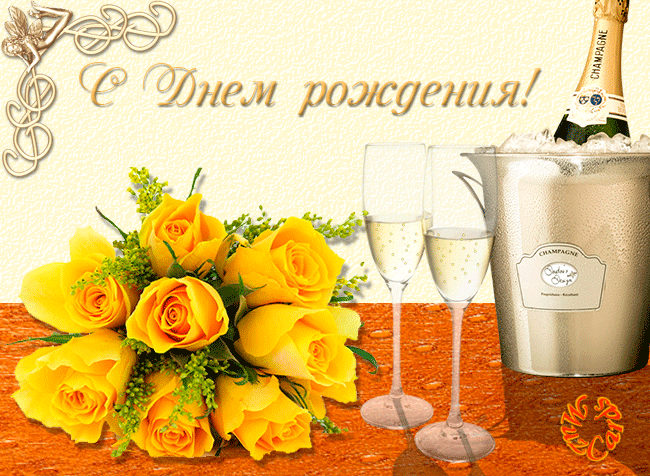 Скачать красивые розы желтые. Желтые розы сорта фото. Желтые розы фото в хоро...