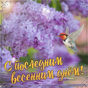 Картинка с последним днем лета. Картинка с последним днем уходящего лета.