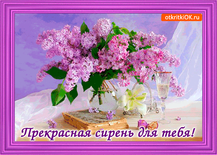 Открытки картинки с сиренью. Открытки Доброе утро с сиренью.