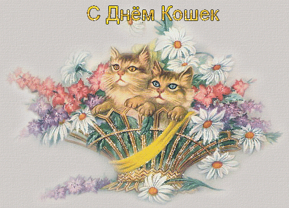Анимационные открытки с Днем кошек. Прикольные открытки с Днем кошек. 