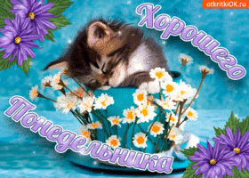 Открытки с понедельником удачной недели. Открытки с понедельником скачать бес...