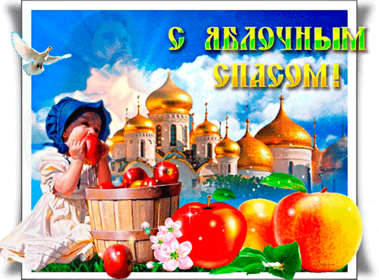 Открытка с подсолнухами виноградом и яблоками. Открытка с красивыми яблоками ...