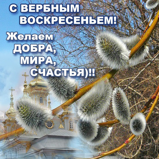 Картинка гиф с вербным воскресеньем с вербным воскресеньем в картинках. Поздр...