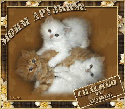 Картинки со стихами о дружбе картинки прикольные о дружбе.  