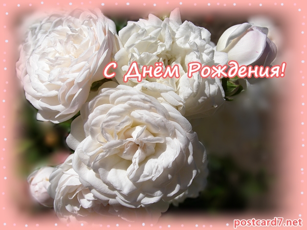 Блондинка с белыми розами картинки. Картинка с днём рождения с белыми розами.