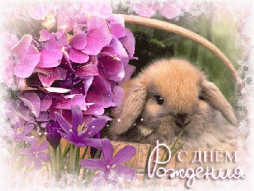 Открытка с короткими стихами снохе ко дню рождения. Открытка букеты из роз в ...