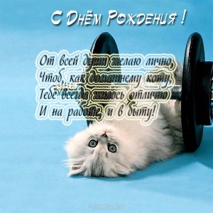 Открытки с кошками на день рождения. Открытки с кошками Доброе утро.