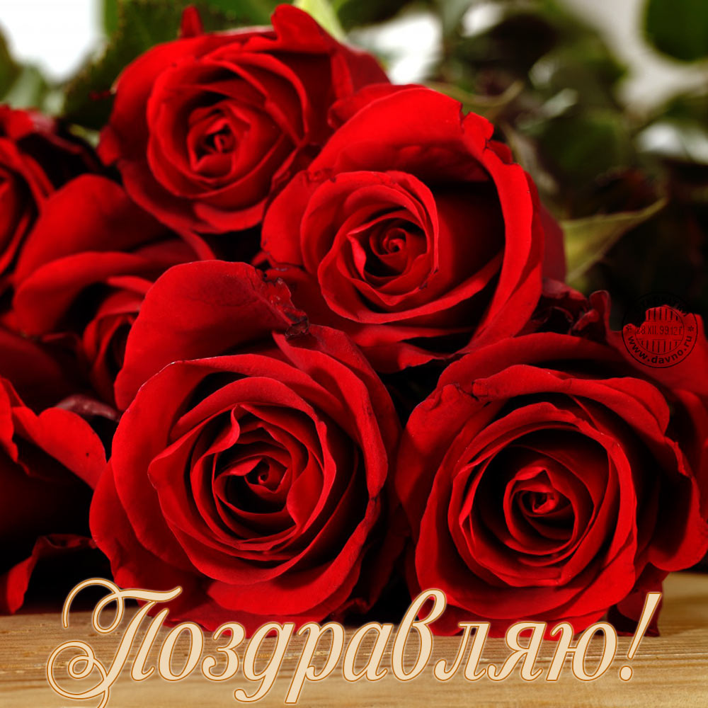 Картинки С днём рождения с красными розами. Картинки девушка с красными розами.
