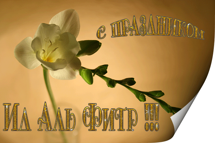 Открытка месяц Рамадан. Открытка с поздравлением Рамадан. Открытка С наступаю...