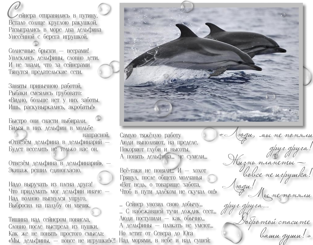 Дельфины слова текст. Стихи про дельфинов. Стихотворение про дельфина. Стихи про дельфинов короткие. Детский стих про дельфина.