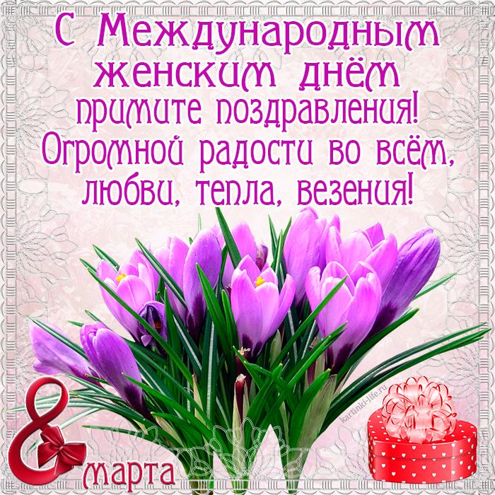 Крокусы в снегу фото. Красивые картинки крокусы. Открытка крокусы в снегу к 8...