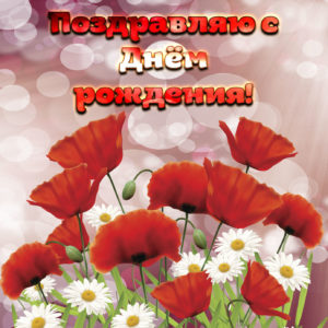 Открытка с нежностью и любовью с сердцем из красных Маков и Ромашки в ладонях.