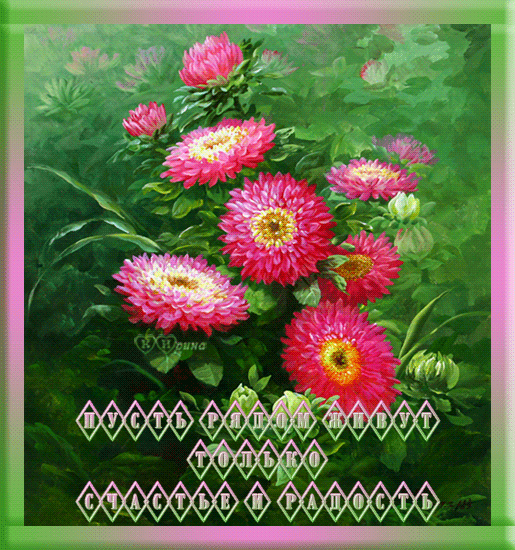 Фото Астры и хризантемы. Астры букет фото. Красивые Астры фото.