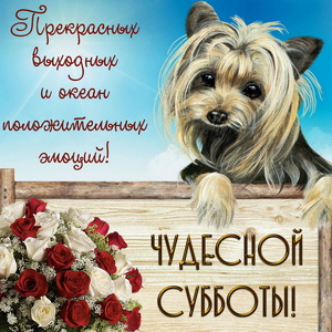 Открытка приятной субботы! Открытка чудесного субботнего денечка!