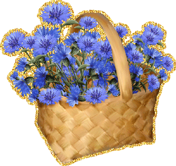 Картинки с васильками. Картинки с васильками с днём рождения.