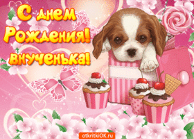 Открытка поздравляем с днём рождения внучки! Открытка с тортом мягкими игрушк...