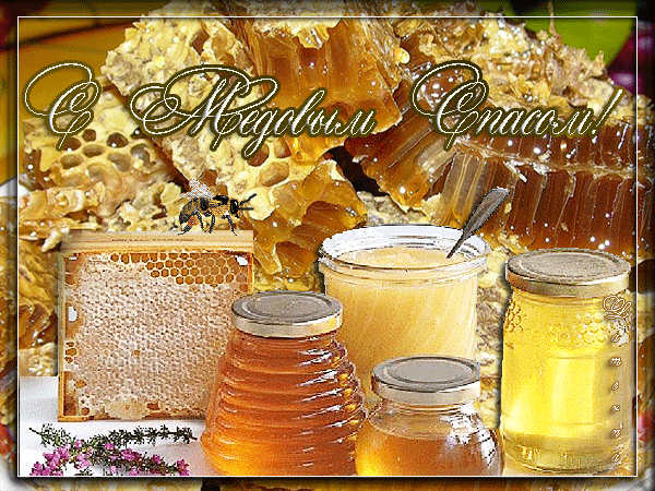 Поздравительная открытка с медовым Спасом. Открытки с медовым Спасом фото.