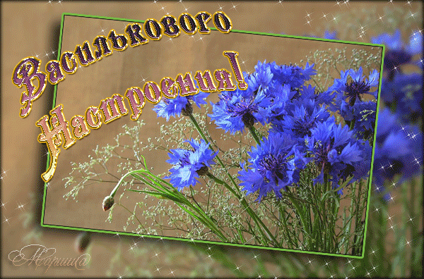 Картинки с васильками. Картинки с васильками с днём рождения.