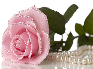 Открытка Поздравляю с белой кремовыми розами, открытка с ярко малиновые розам...