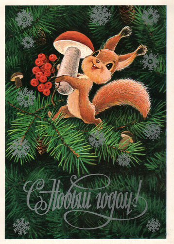 Открытка Поздравляю с белочкой. Открытки с фотографиями белочки.