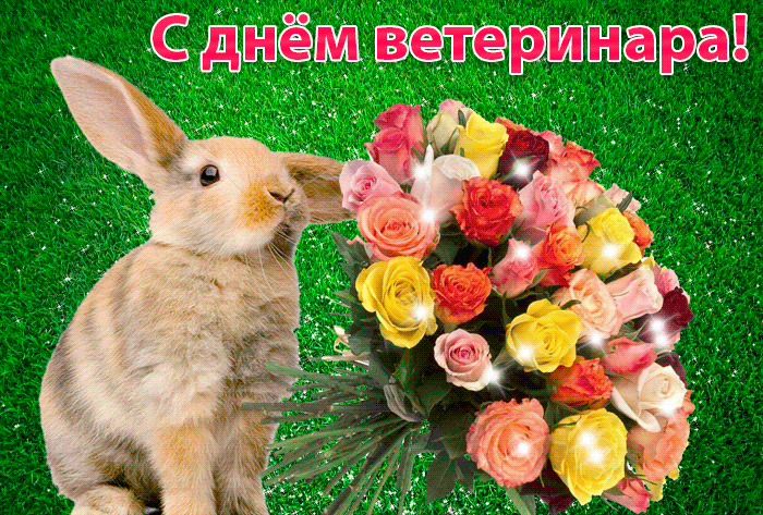 Картинка с днём рождения зайка картинка зайчик с сердечком. Картинка зайчика ...