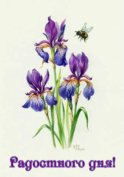 Картинка ирисами. Открытки с ирисами. Открытки С ирисами С днём рождения.