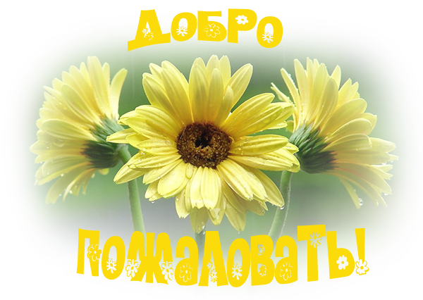 Добро пожаловать в новый день картинки