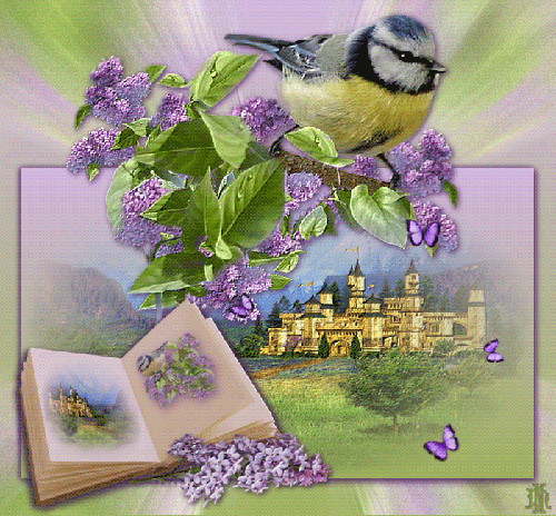 Картинки С днём рождения с сиренью. Фото сирень в цвету. Красивый букет сирени.