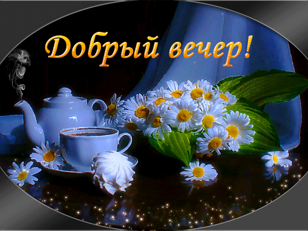 Картинки вечер прикольные. Прикольные картинки с добрым вечером.