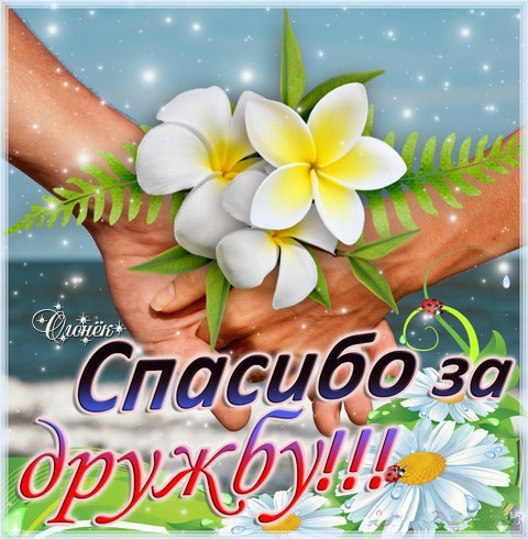 Открытки о дружбе и любви. Открытки о дружбе скачать. Открытки о дружбе прико...