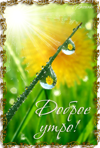 Картинка с одуванчиками. Картинки девушка с одуванчиками.   