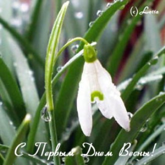 Первый день весны картинки. Первый день весны открытка. С первым днем  марта ...