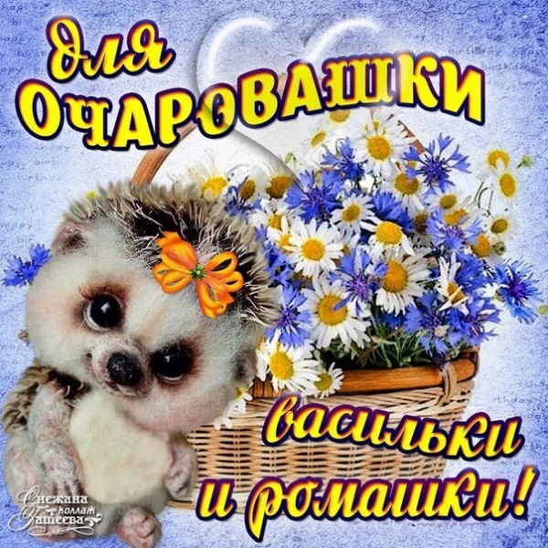 Картинки с васильками и ромашками. Красивые картинки с васильками.