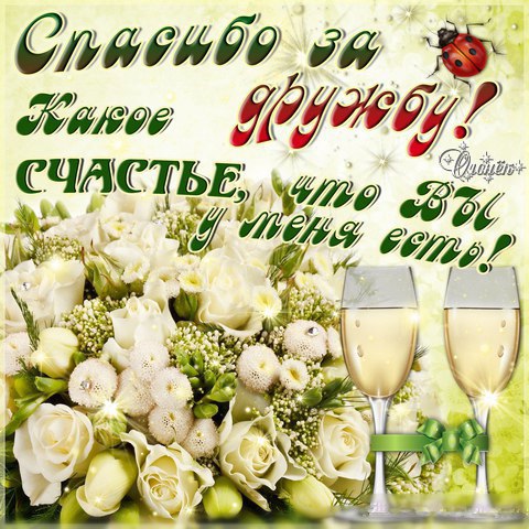 Красивые высказывания о дружбе в картинках. Пословицы о дружбе для детей в ка...