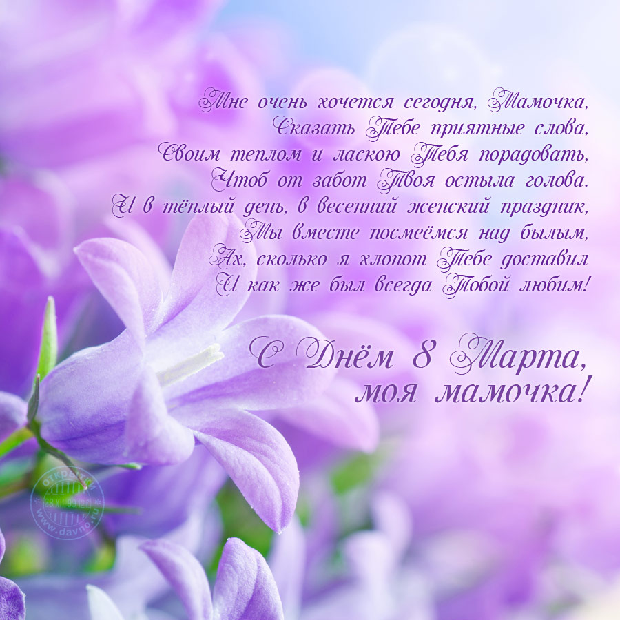 С праздником! 8 марта. Открытка с мягкими игрушками. Открытка с цветными тюль...