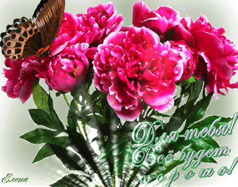 Красивая открытка с пионами. Поздравительная открытка, открытка с белыми пион...