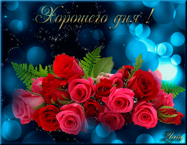Пожелания хорошего дня картинки. Добрый день любимая красивые картинки добрый...