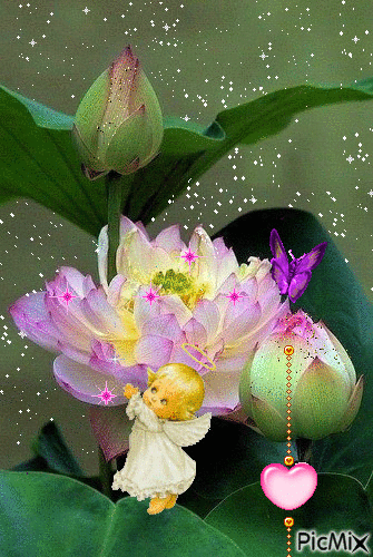 Открытка мерцающая светящиеся белый лотос. Открытка розовый Лотос сверкает.