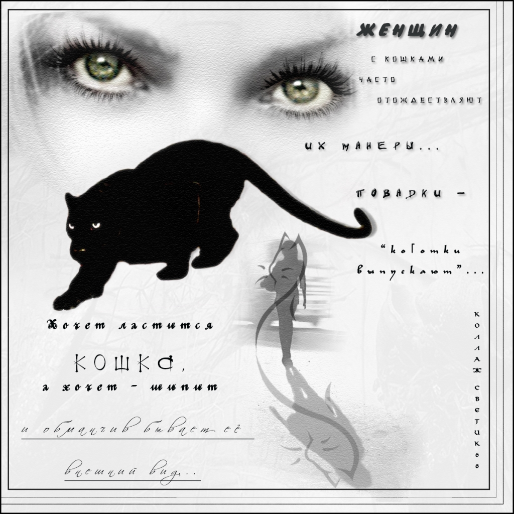 Открытки с кошками Доброе утро. Открытки с кошками Спокойной ночи открытки с ...