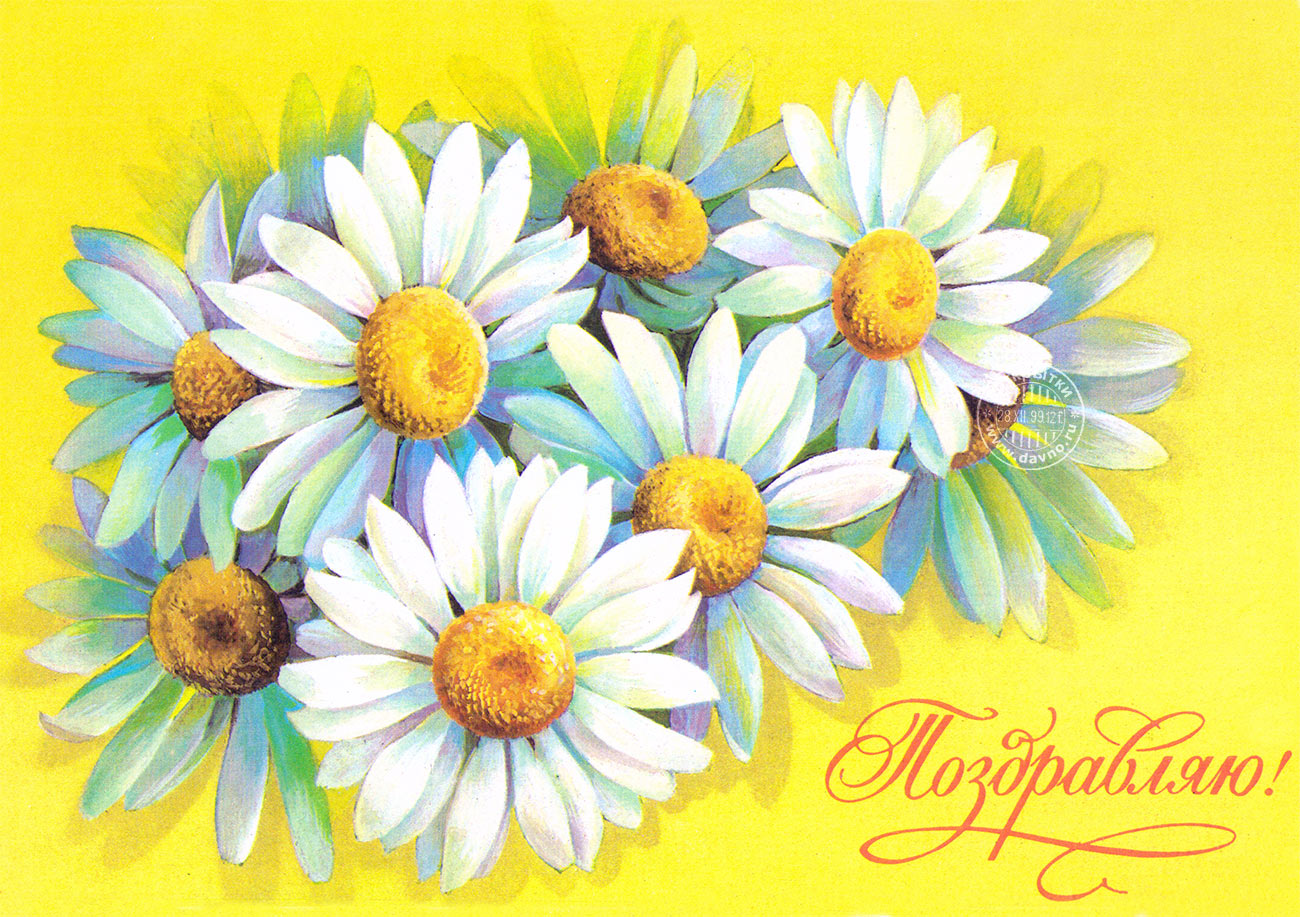 Открытка Пусть ваша жизнь будет похожа на ромашку светлое солнышко внутри.