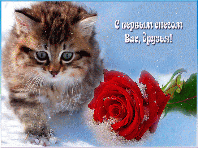 Открытки С первым снегом утро. Красивые открытки С первым снегом.