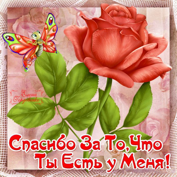 Картинки Спасибо за внимание смешные. Спасибо картинки гиф. Открытка Спасибо ...