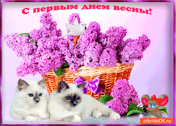 Скачать бесплатно сирень.  Открытки С днём рождения с сиренью.